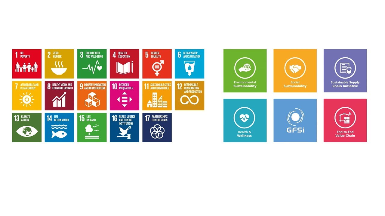 The CGF and the Sustainable Development Goals - YouTube