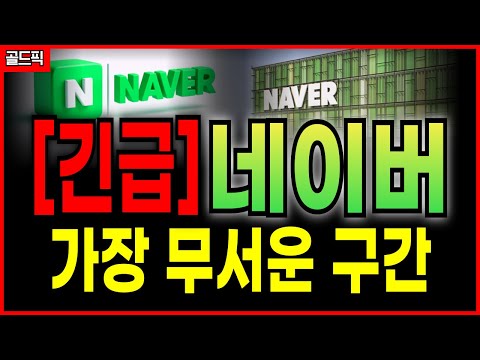 네이버 NAVER 주가전망 이렇게만 하시면 됩니다 목표 손절라인 대응방식까지 총정리해드립니다