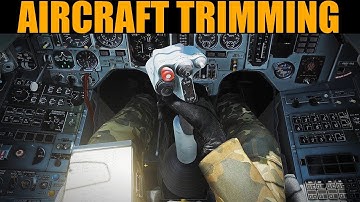 Flying Basics: Aircraft Trimming | DCS WORLD