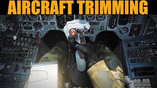 Flying Basics: Aircraft Trimming | DCS WORLD Net Worth