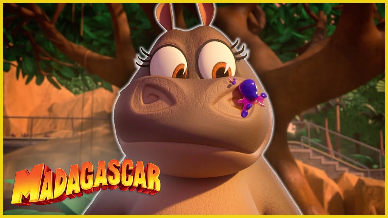 ¡Ser niñera es más difícil de lo que parece! | DreamWorks Madagascar en Español Latino