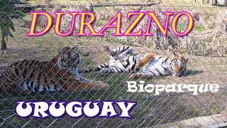 Ciudades. DURAZNO y su BIOPARQUE/ Uruguay