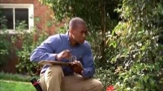 Matthew Marino - Cook s Pest Control