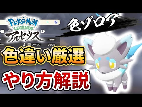 レジェンズアルセウス 色違い厳選のやり方を紹介します Pokemon Legends アルセウス 色ゾロア Youtube