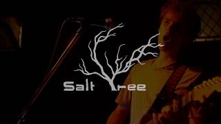 Salt Tree - No Woman No Cry