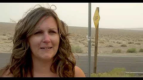 Melissa Gus: Damaged Family