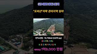 충남 서산시 인지면 산동리 숨겨진 보석! 산림경영체 등록 임야 매물 #서산부동산 #부동산 #서산토지