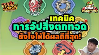 เทคนิคการอัพ สิ่งตกทอด ยังไงให้ได้ผลดีที่สุด