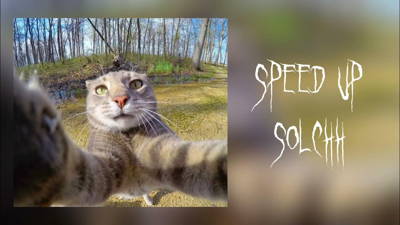 Хеллоу мир speed