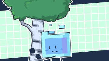 What a nice tree🌳