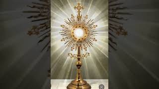 Chaplet Of Adoration And Reparation. #prayer #prayer#adoration#reparation