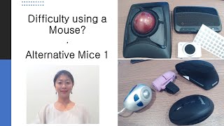 Difficult to use a mouse?  See alternative mouse devices 1