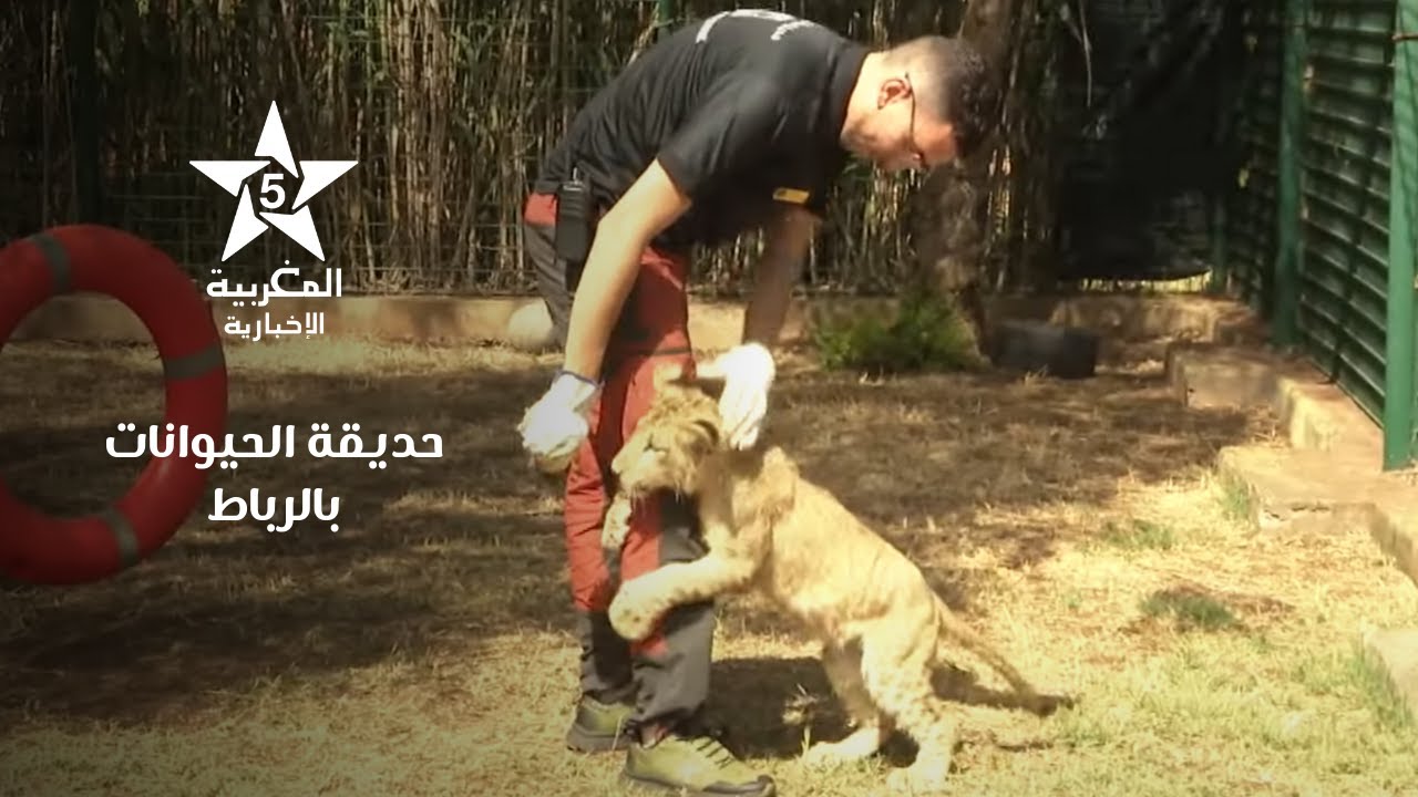 بعيون مغربية  :  حديقة الحيوانات الرباط