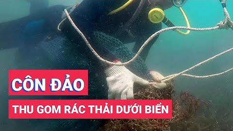 Thợ lặn cắt hàng tấn lưới bủa vây ran san hô ở Côn Đảo
