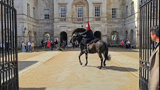 SUPERSTAR LADY TROOPER does it again as horse QUITS - Saturday chaos at Horse Guards!
