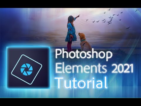 Adobe Photoshop Elements 2021