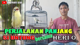 UNTUNG SORUPATI TOLAK TAWARAN 100JUTA||U.S KECIAL YANG LUAR BIASA||VLOG KICAU 2022||BROTHER'S CIAK