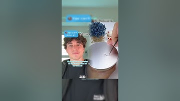 POV 誰でも動けない時間ってありますよね…#pov #面白い