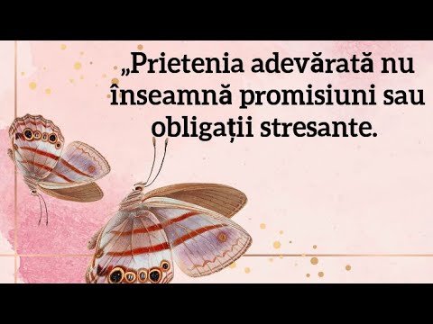 Video: Prietenia Curții