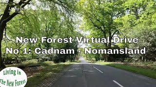 A New Forest driving tour from Cadnam to Nomansland  New Forest Virtual Tours