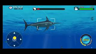 Wild Shark Fishing, but it's only Swordfish being caught screenshot 5