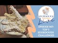 Top 5 Sourdough Challenges [Plus AMA with Heather!] - Sourdough Mamas Live Episode 007