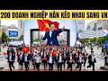 200 doanh nghiệp Hàn Quốc kéo nhau sang Việt Nam cùng lúc làm gì ?