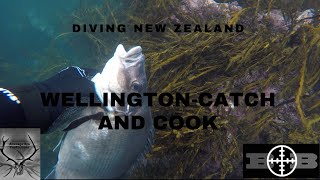 DIVING NEW ZEALAND-Wellington Catch and Cook.
