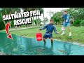 RESCUEING Trapped FISH In A PUDDLE!!