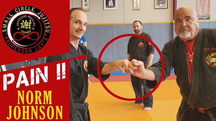 PAIN by Norm Johnson @Seminar