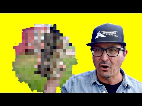 Youtube Doesn't Want You To See This - Youtube Doesn't Want You To See This