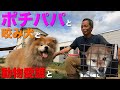 ポチパパと咬み犬と動物愛護と〜本能の絆が育む愛情の物語〜「保護犬達の楽園」の北村紋義さんに聞く