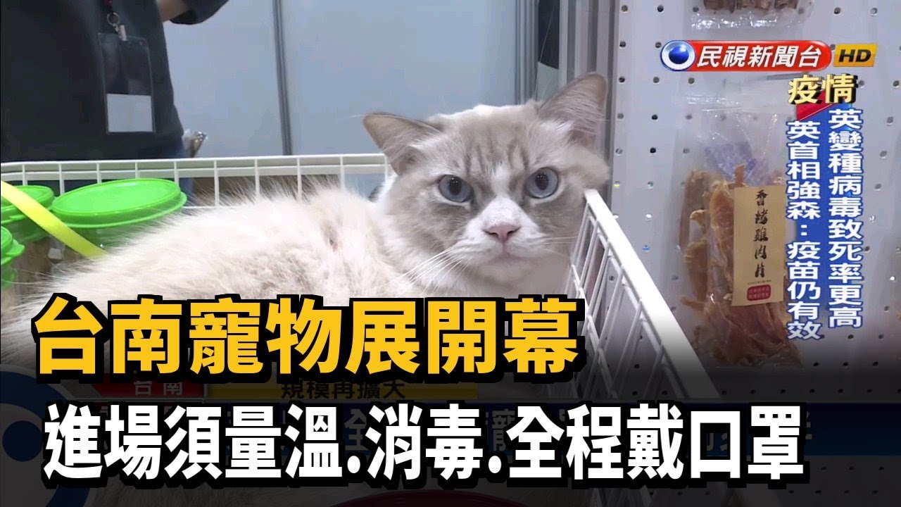 台南寵物展開幕進場須量溫 消毒 全程戴口罩 民視新聞 Youtube