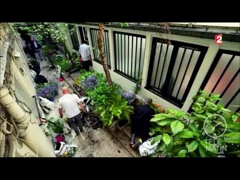 Vidéo: Rogers Pour Un Jardin Ombragé