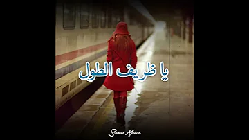 Ya Darif Toul يا ظريف الطول Statut Whatsapp ستاتيات واتساب 2020 