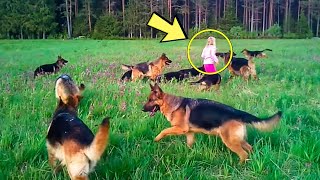 14 German Shepherds Surrounded the Little Girl! But When She Raises Her Hand They Did Smth Amazing! by AMAZING STORIES 443 views 13 days ago 9 minutes, 51 seconds