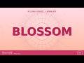 Blossom | Spring Pop | D2D