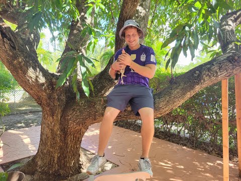 thumbnail img16x9