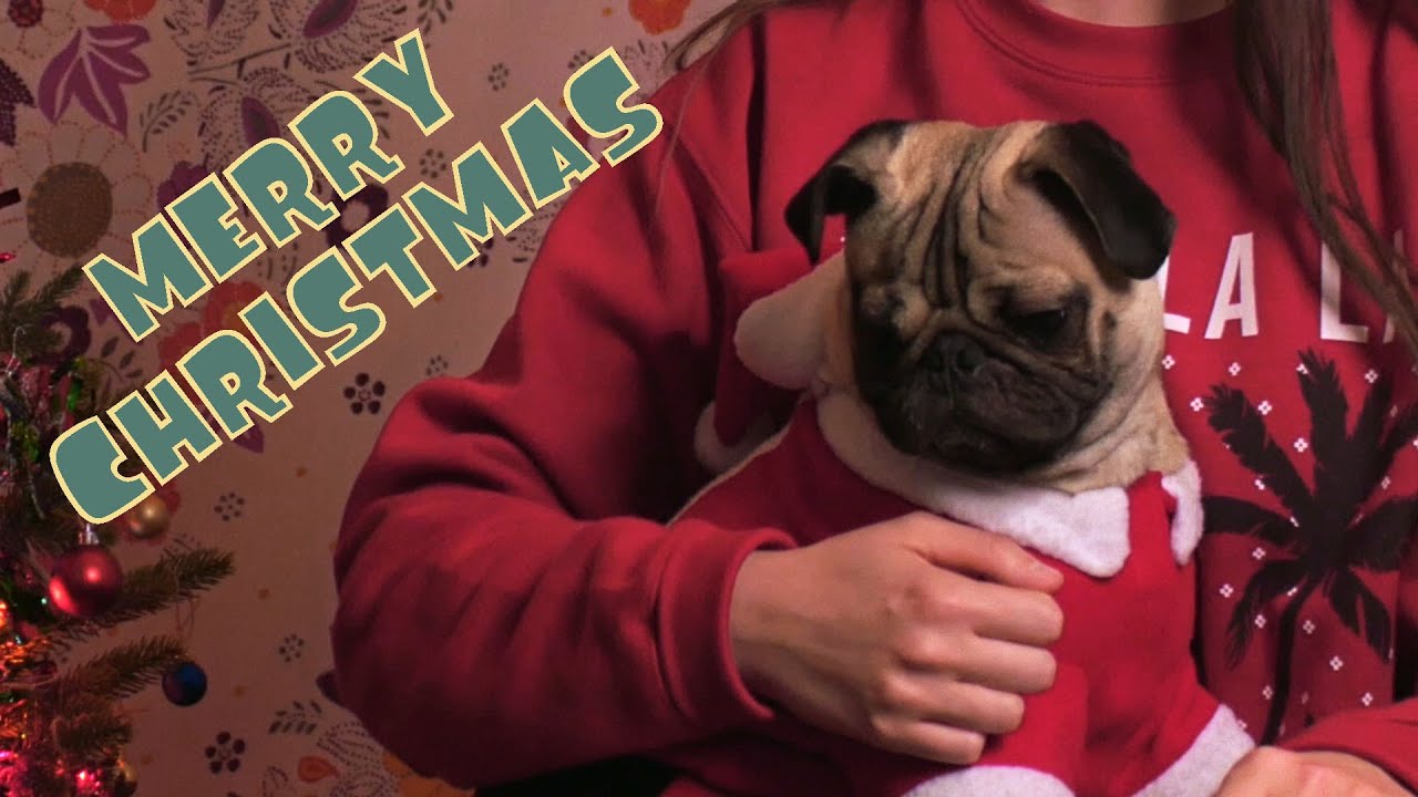 Watch December 24(Christmas Song) - Halover on YouTube Watch December 24(Christmas Song) - Halover on YouTube