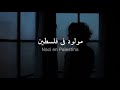 مترجمة Naci En Palestina Emel Mathlouthi 