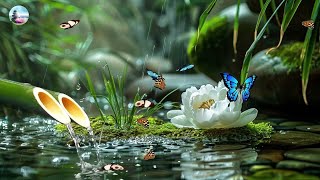 Relaxation Music: soothing water sounds, Full Nature Sound Brain Therapy, Sleep Relaxation, Insomnia