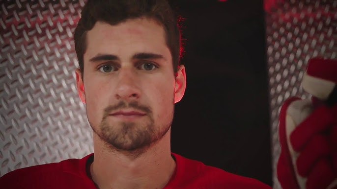 Dylan Larkin Detroit Red Wings Reebok 2016 Stadium Series Premier