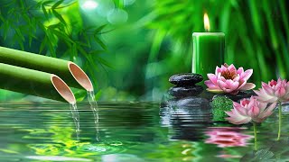 Relaxing Music • Calm Piano Music, Sleep Music, Water Sounds, Meditation Music, Bamboo