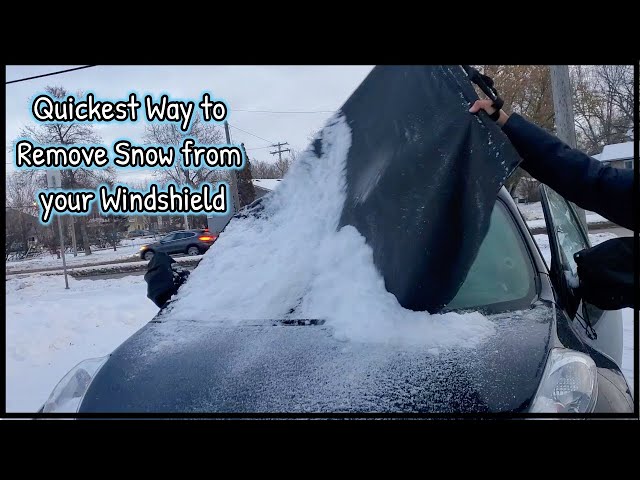 Polar Extreme Universal Windshield Cover with Side Mirror Covers Unboxing  and Review 