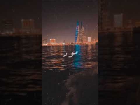 سمعني نبضك سلمى رشيد
