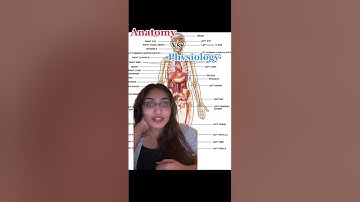 Anatomy vs. Physiology (EASY)