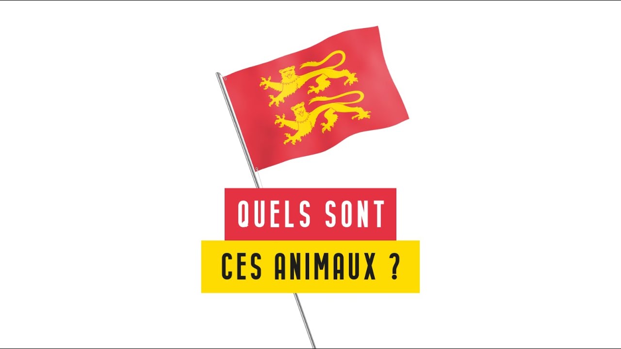 Quels Animaux Figurent Sur Le Drapeau De La Normandie YouTube Quels animaux figurent sur le drapeau de la normandie youtube