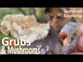 Beetle Grubs and Wild Mushroom -Field to Fire- Foraging Survival