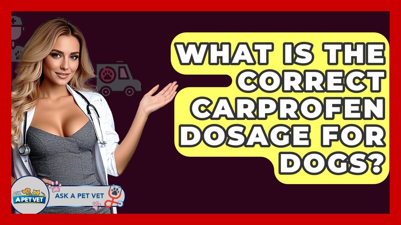 What Is The Correct Carprofen Dosage For Dogs? - Ask A Pet Vet