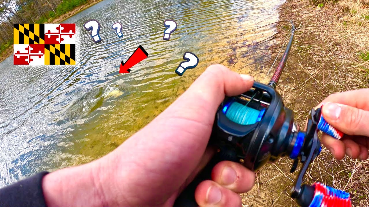 THIS MARYLAND GOLF COURSE POND WAS LOADED WITH BIG BASS!!